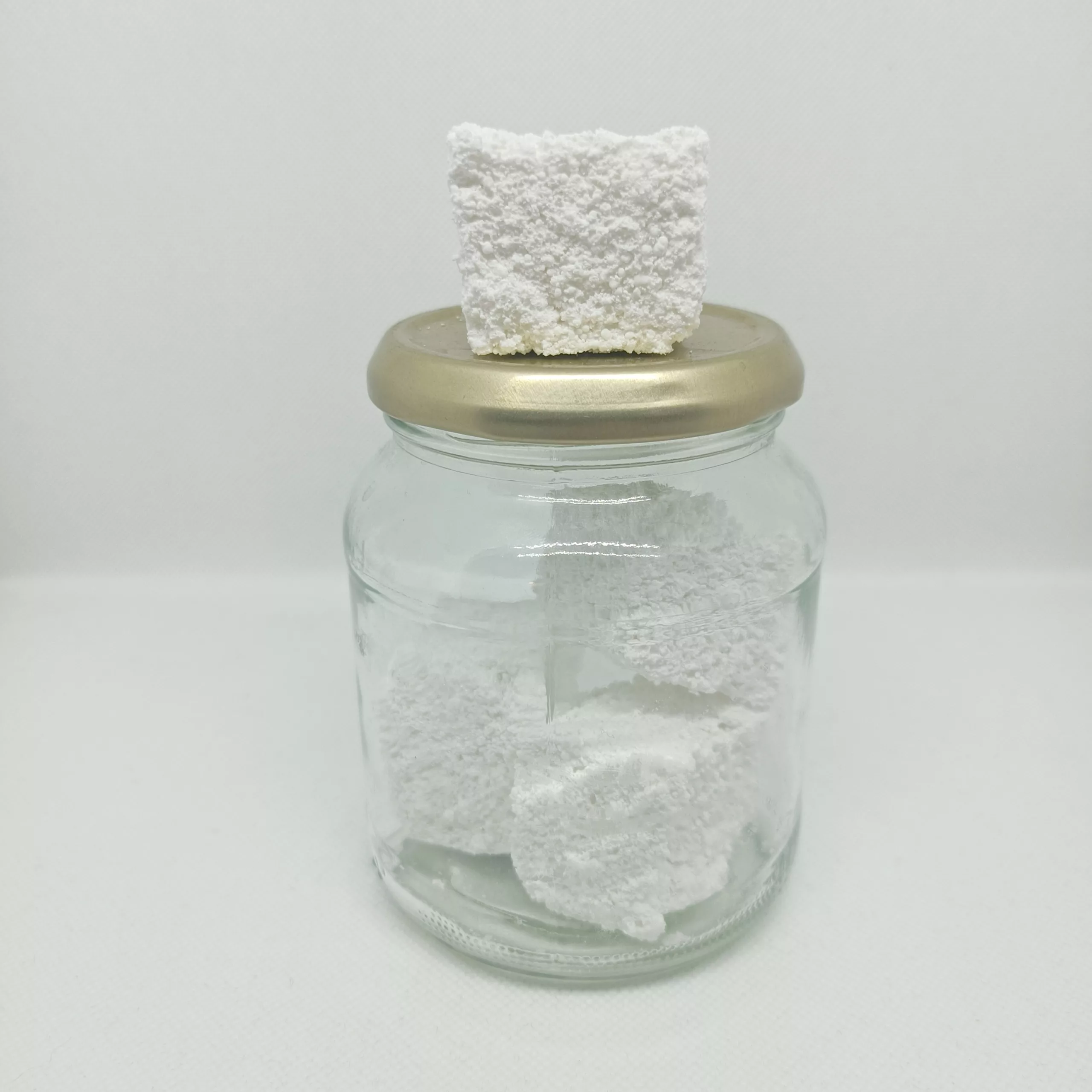 Pastilles WC