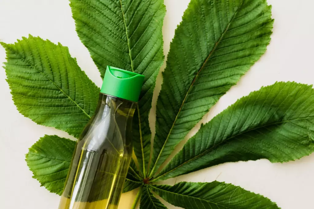 Photo d'un flacon cosmétique vert posé sur une feuille