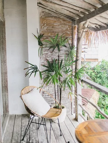 Balcon en bois avec une plante verte et un fauteuil.