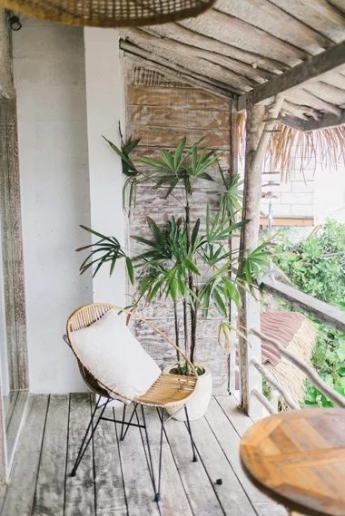 Balcon en bois avec une plante verte et un fauteuil.