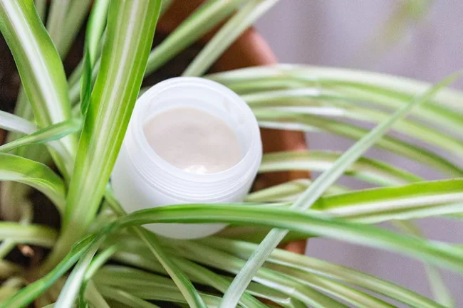 Une crème visage hydratante entièrement naturelle fabriqué en atelier DIY.
