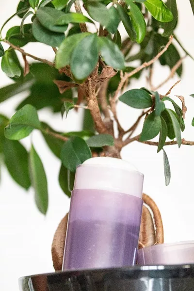 Un déodorant naturel fabriqué DIY.