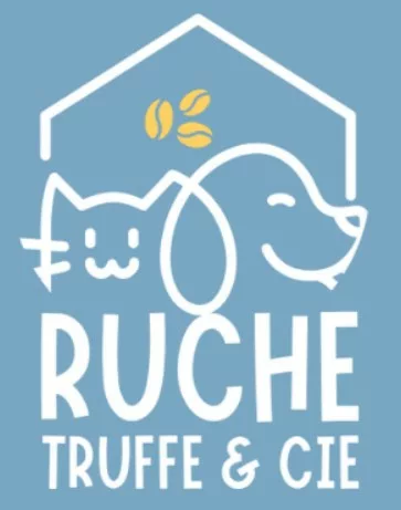 affiche samedi ruche à saint germain en laye