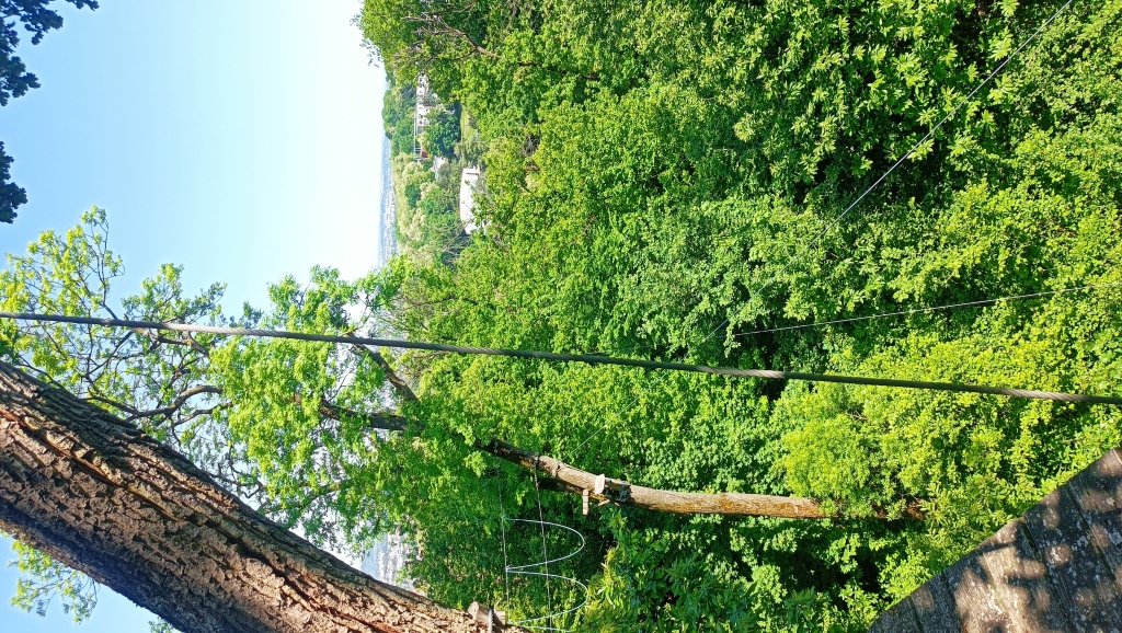Ecopark Sannois - accrobranche