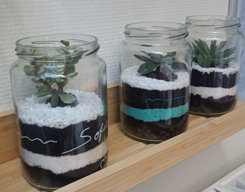 Mini-terrarium upcyclés en atelier DIY