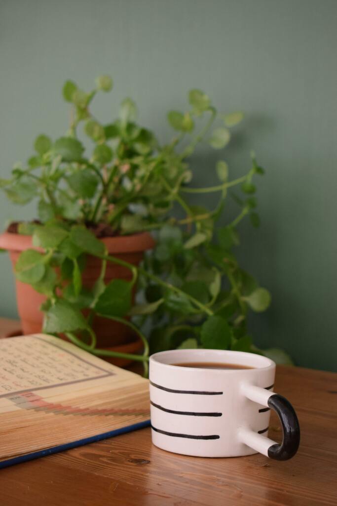 Tasse et plante sur bureau pour illustrer le bien être au travail